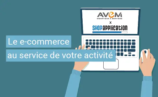 e-commerce avem